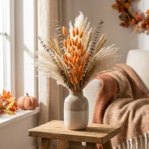 Itens Lagurus Rabo de Coelho Seco, Flores Decorativas Secas de Damasco, 55-60cm, 50g