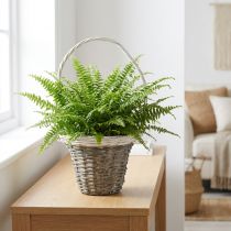 Itens Cesto de vime com alça, cinza e branco, Ø25 cm, A45 cm, cesto decorativo para plantas