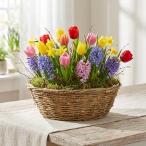 Itens Vaso grande para flores, cesto para plantas com trepadeiras, Ø40cm A13cm, decoração natural, enfeite de mesa, peça única