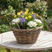 Itens Decoração de flores, cesto de madeira com alças, floreira natural, caiado Alt.12cm Ø24cm