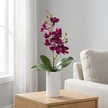 Itens Orquídea pequena Phalaenopsis flor artificial roxa escura 30cm