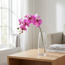 Itens Orquídea artificial Phalaenopsis Orquídea Rosa 78cm