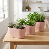 Itens Tigela para plantas tigela decorativa oval de plástico rosa marrom 20 × 10 × 11 cm 3 unidades