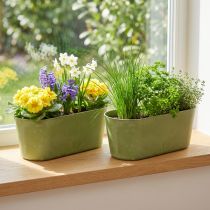 Itens Tigela para plantas tigela verde oval de plástico 27 × 11 × 10 cm 3 unidades