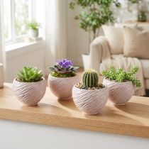 Itens Tigelas pequenas de cerâmica em decoração espiral rosa Ø9cm 4 unidades