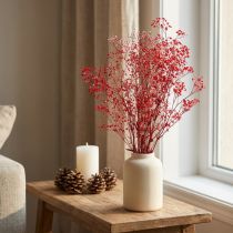 Itens Gypsophila Gypsophila Flores Secas Vermelhas 50cm 55g
