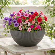 Itens Vaso plástico antracite Ø35cm A16,5cm