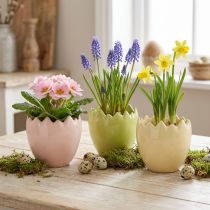 Itens Vaso de flores em formato de ovo com borda quebrada, ideal para decoração criativa de janelas e mesas, 9 cm, conjunto de 3 peças.