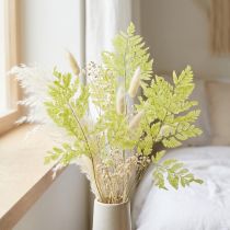 Itens Samambaias: Material natural preservado de alta qualidade para projetos de decoração duradouros, 40 cm, 10 peças