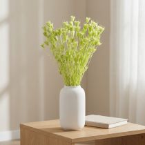 Itens Flores de Nigella secas, charmosa decoração natural para a casa, 70cm, 50g