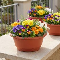 Itens Vaso plástico para plantas Ø27cm redondo terracota 5 peças