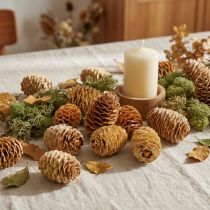 Itens Creme de cones Sabulosum 500g