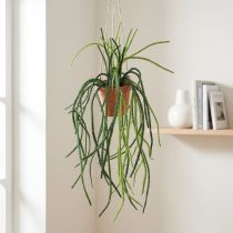 Itens Cesto suspenso de cacto coral artificial Rhipsalis H87cm