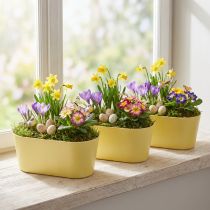 Itens Tigela para plantas tigela decorativa oval de plástico amarelo 27 × 11 × 10 cm 3 unidades