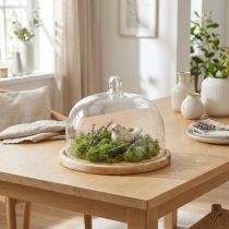 Itens Cúpula de vidro com decoração em placa de madeira cúpula de queijo Ø22cm H16,5cm