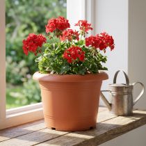 Itens Vaso “Oliver” terracota Ø20cm