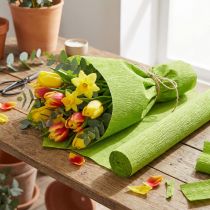 Itens Papel crepom florista verde grama 50x250cm