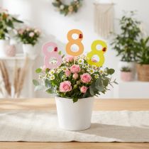 Itens Número de aniversário "8" plugue colorido de madeira 7,5 cm 16 peças
