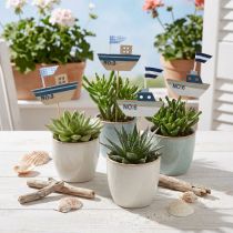 Itens Plugue decorativo madeira branco azul natural 8cm Alt.37cm 24 unid.