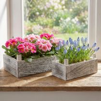Itens Caixa retangular de madeira para plantas branqueada 32x17/25x13cm conjunto de 2