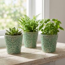 Itens Plantador de cerâmica crackle esmalte verde Ø11cm Alt.11cm 3 unidades