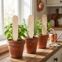 Itens Estacas de jardim estacas de madeira para ervas e Co 10 cm 12 unidades