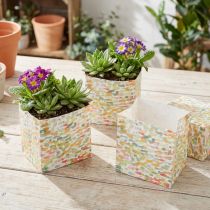 Itens Saco de presente saco de plantas saco de presente estampado 10,5 cm 8 unidades