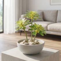 Itens Planta artificial suculenta com palheta Aeonium Verde 30cm 4 pcs