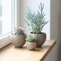 Itens Tigela Decorativa Cerâmica Espiral Decor Bege Marrom Ø9cm 4pçs