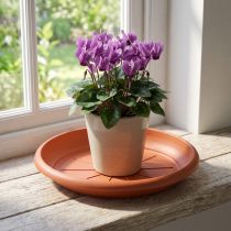 Itens Pires "Linda" Ø18cm terracota