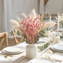 Itens Rabo de Coelho (Lagurus) Seco Rosa Claro 60cm 50g Decoração de Flor Seca Artificial Boho Casamento