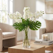 Itens Orquídea Creme-Branco L57cm 6 pcs