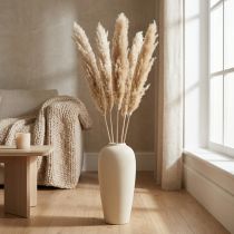 Itens Decoração seca grama dos pampas seca e branqueada 70-75cm 6 un