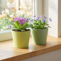 Itens Pote de papel, mini vaso de plantas, cachepot azul/verde Ø9cm H7.5cm 4pcs