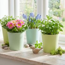 Itens Pote de papel, cachepot, plantador azul/verde Ø11cm H10cm 4pcs