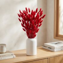 Itens Grama Rabo de Coelho (Lagurus) Seca Vermelha 60cm 50g Decoração de Flor Seca