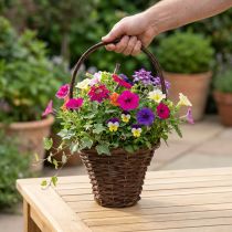 Itens Cesto com alça, cesto rústico para plantas Ø24×A18cm