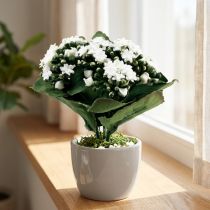 Itens Kalanchoe Artificial Flamejante Käthchen Branco 24cm