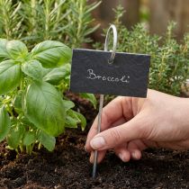 Itens Placas de planta de plugue de lajes de ardósia natural pretas 25cm