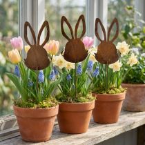 Itens Plugue de flor decoração de coelho ferrugem 7,5 cm × 11,5 cm 6 unidades