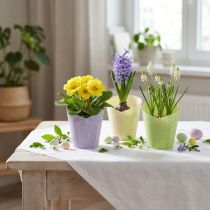 Itens Vaso para plantas em papel para plantas verde, amarelo, roxo Ø7cm Alt.13cm 12 unidades