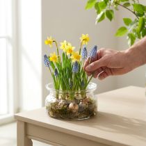 Itens Tigela de vidro tigela decorativa tigela de vidro flutuante Ø16cm H8cm