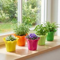 Itens Plantador para vasos de plantas, coloridos variados. Ø10,5cm 10 peças
