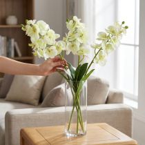 Itens Orquídea verde claro 56cm 6pcs