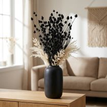 Itens Flores secas cardo preto seco morango cardo 100g