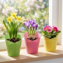 Itens Papel para plantador tecido rosa, amarelo, verde Ø7cm Alt.13cm 12 unidades
