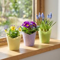 Itens Vaso para plantas em papel tecido verde amarelo roxo Ø9cm Alt.18cm 9 unid.