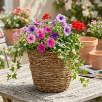 Itens Cesto para plantador de trepadeiras Ø25cm A22,5cm, vaso natural
