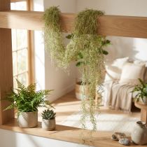 Itens Tillandsia decorativa suspensa Tillandsia artificial verde branco 180cm