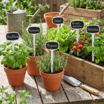 Itens Etiquetas para plantas 29 cm pretas inclinadas 10 unidades